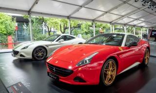 嘉年华上海 嘉年华上海