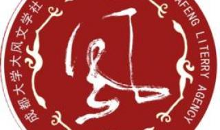 实拍成都大风来袭