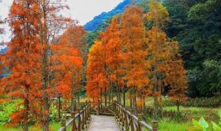 从化石门国家森林公园 从化石门国家森林公园