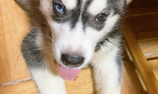 真实人的阴阳眼图片 真实人的阴阳眼图片