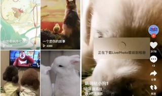 炫酷手机动态壁纸 炫酷手机动态壁纸